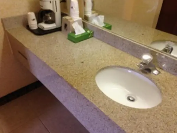 Regal Inn Guntersville 5